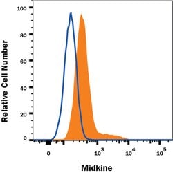 Human Midkine Antibody, R D Systems 100 &mu;g Unconjugated:Antibodies,