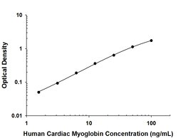 Human Myoglobin Antibody, R D Systems:Antibodies:Primary Antibodies