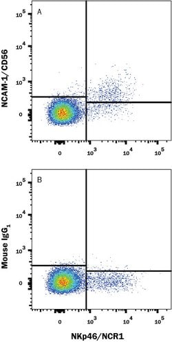 Human NCAM-1/CD56 Antibody, R D Systems NCAM-1/CD56 Antibody; Unconjugated;