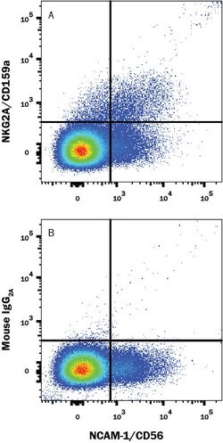 Human NKG2A/CD159a Antibody, R D Systems:Antibodies:Primary Antibodies