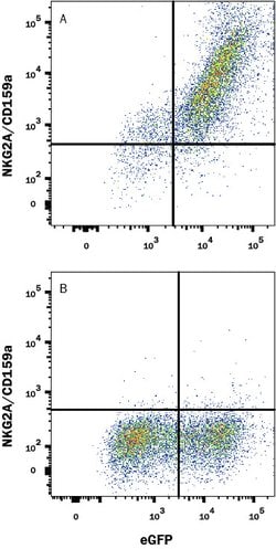 Human NKG2A/CD159a Antibody, R D Systems:Antibodies:Primary Antibodies
