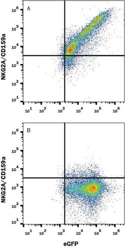 Mouse NKG2A/CD159a Antibody, R D Systems:Antibodies:Primary Antibodies