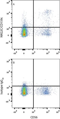 Human NKG2C/CD159c Alexa Fluor 488-conjugated Antibody, R D Systems 100ug;