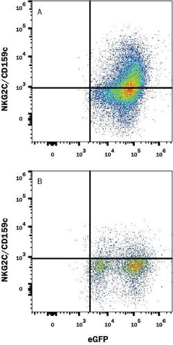 Mouse NKG2C/CD159c Alexa Fluor 647-conjugated Antibody, R D Systems 100 &mu;g | Buy Online | R&D Systems | Fisher Scientific