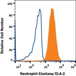 Human Neutrophil Elastase/ELA2 Antibody, R D Systems:Antibodies:Primary