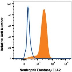 Human Neutrophil Elastase/ELA2 Antibody, R D Systems 100&mu;g; Unlabeled:Antibodies,