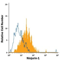 Human Ninjurin-1 Alexa Fluor 488-conjugated Antibody, R D Systems 100 &mu;g;