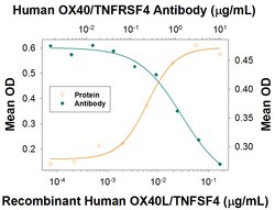 Human OX40/TNFRSF4 Antibody, R D Systems 25 &mu;g; Unconjugated:Antibodies,
