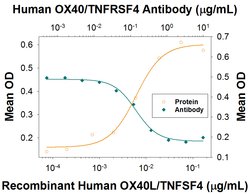 Human OX40/TNFRSF4 Antibody, R D Systems 25&mu;g; Unlabeled:Antibodies,