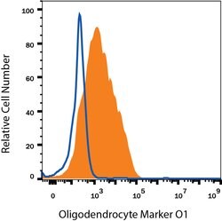 Human/Mouse/Rat/Chicken Oligodendrocyte Marker O1 Antibody, R D Systems 50 &mu;g | Buy Online | R&D Systems | Fisher Scientific