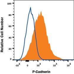 Human P-Cadherin Antibody, R D Systems 100&mu;g:Antibodies, Monoclonal