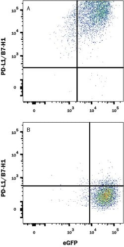 Human PD-L1/B7-H1 Antibody, R D Systems 100 &mu;g; Unconjgated:Antibodies,