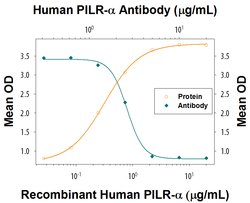 Human PILR-alpha Antibody, R D Systems:Antibodies:Primary Antibodies