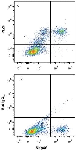 Mouse PLZF Antibody, R D Systems 100ug; Unlabeled:Antibodies, Monoclonal
