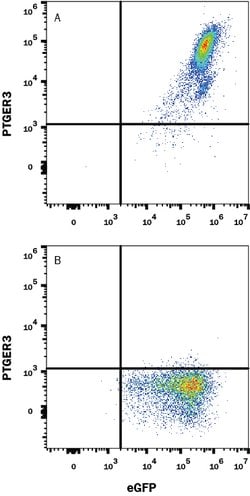 Human PTGER3 Antibody, R D Systems 100 &mu;g; Unconjugated:Antibodies,