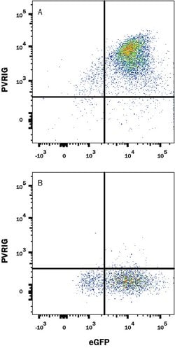 Human PVRIG Antibody, R D Systems 25 &mu;g | Buy Online | R&D Systems | Fisher Scientific