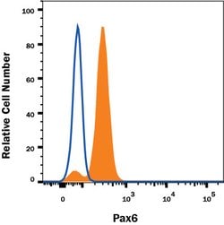 Human Pax6 Antibody, R D Systems 100&mu;g; Unlabeled:Antibodies, Polyclonal