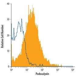 Mouse Podocalyxin Alexa Fluor 700-conjugated Antibody, R D Systems 100