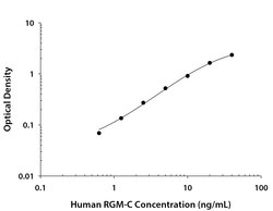 Human RGM-C/Hemojuvelin Antibody, R D Systems 25 &mu;g; Unconjgated:Antibodies,