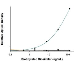Anti- Rituximab (Anti-Idiotype) Antibody, R D Systems:Antibodies:Primary