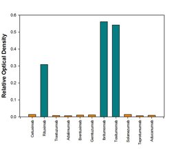 Anti- Rituximab (Anti-Idiotype) Antibody, R D Systems:Antibodies:Primary