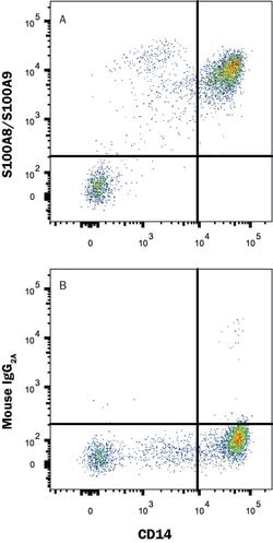 Human S100A8/S100A9 Heterodimer Antibody, R D Systems 100 &mu;g; Unconjugated:Antibodies,
