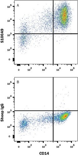 Human S100A9 Antibody, R D Systems 25&mu;g; Unlabeled:Antibodies, Polyclonal