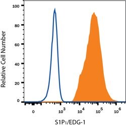 Human S1P1/EDG-1 Alexa Fluor 488-conjugated Antibody, R D Systems 100ug;