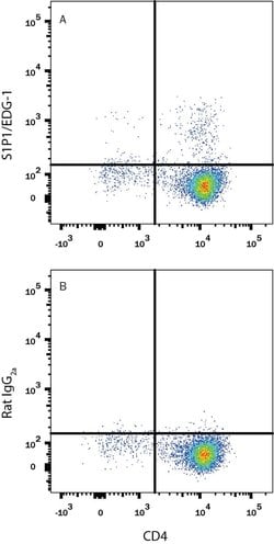Mouse S1P1/EDG-1 Alexa Fluor 488-conjugated Antibody, R D Systems 100&mu;g:Antibodies,