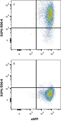 Human S1P4/EDG-6 Antibody, R D Systems 25 ug; Unconjugated:Antibodies,