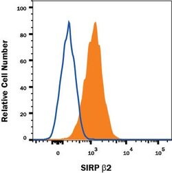 Human SIRP beta 2 Antibody, R D Systems 25 &mu;g; Unconjugated:Antibodies,