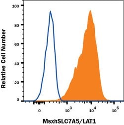 Human SLC7A5/LAT1 Antibody, R D Systems:Antibodies:Primary Antibodies