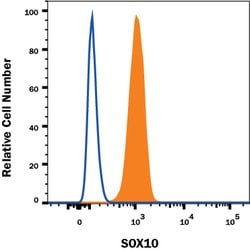 Human SOX10 Antibody, R D Systems 100 &mu;g; Unconjugated:Antibodies, Monoclonal