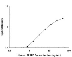 Human SPARC Antibody, R D Systems 25&mu;g; Unlabeled:Antibodies, Polyclonal