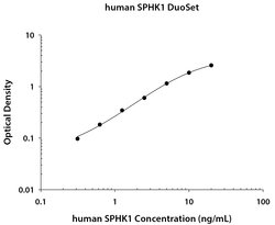 Human Sphingosine Kinase 1/SPHK1 Antibody, R D Systems 100 &mu;g; Unconjugated:Antibodies,