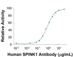 Human SPINK1 Antibody, R D Systems 100&mu;g; Unlabeled:Antibodies, Monoclonal