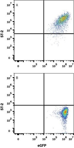 Human ST2/IL-33R Antibody, R D Systems ST2/IL-33R Antibody; Unconjugated;