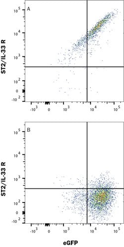 Human ST2/IL-33R Antibody, R D Systems:Antibodies:Primary Antibodies
