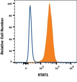 Human STAT1 Antibody, R D Systems 100ug; Unlabeled:Antibodies, Monoclonal