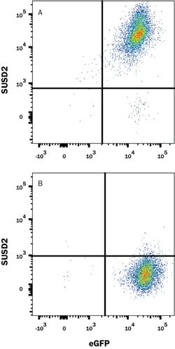 Human SUSD2 Alexa Fluor 647-conjugated Antibody, R D Systems 25 Tests;