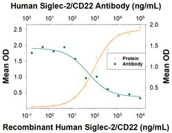 Human Siglec-2/CD22 Antibody, R D Systems 100 &mu;g; Unconjugated:Antibodies,