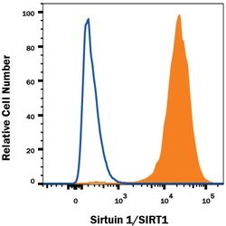 Human Sirtuin 1/SIRT1 Antibody, R D Systems 25&mu;g; Unlabeled:Antibodies,