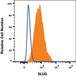 Human Slug Antibody, R D Systems:Antibodies:Primary Antibodies