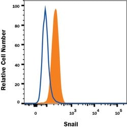 Human Snail Antibody, R D Systems 100&mu;g; Unlabeled:Antibodies, Polyclonal