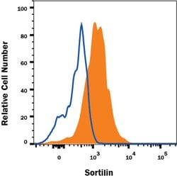 Human Sortilin Antibody, R D Systems 25&mu;g:Antibodies, Monoclonal
