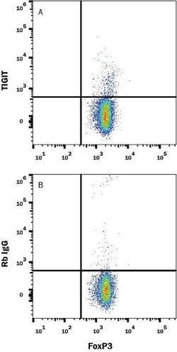 Mouse TIGIT Antibody, R D Systems 100&mu;g:Antibodies, Monoclonal