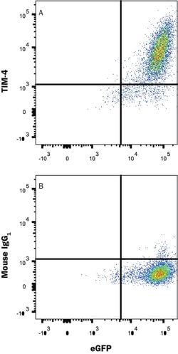 Human TIM-4 Antibody, R D Systems 25μg:Antibodies, Monoclonal