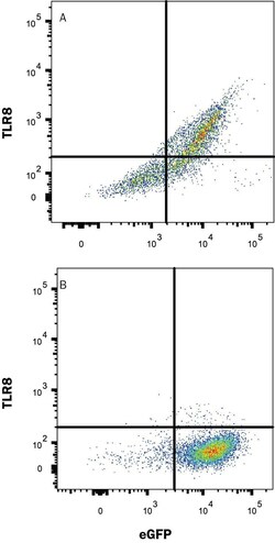 Human TLR8 Alexa Fluor 594-conjugated Antibody, R D Systems 100 &mu;g | Buy Online | R&D Systems | Fisher Scientific