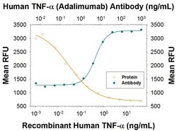 Human TNF-alpha (Research Grade Adalimumab Biosimilar) Antibody, R D Systems:Antibodies:Primary