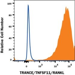 Human TRANCE/TNFSF11/RANK L Antibody, R D Systems 100 &mu;g; Unconjugated:Antibodies,
